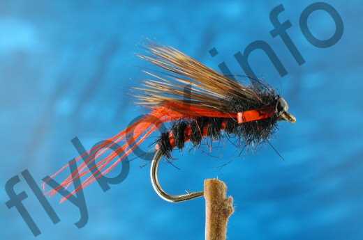 Hell's Half Hog Hopper